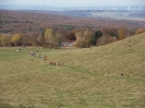 Panoramalauf 2012_155