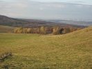 Panoramalauf 2012_85